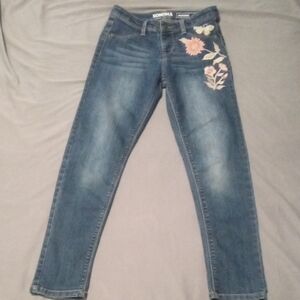Sonoma Blue Skinny Jeans with Modern Fit And Embroidered Flowers
